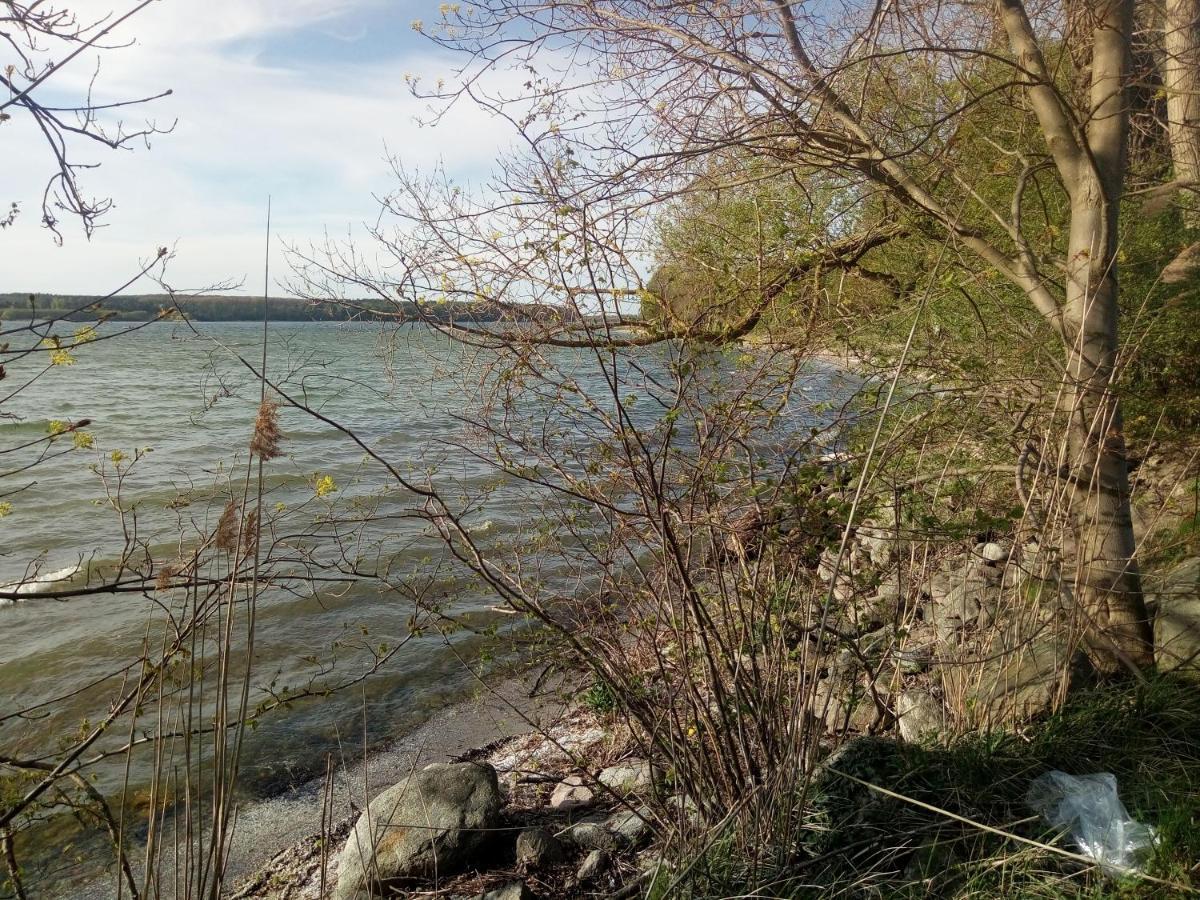Lenzer Parkblick Am Plauer See Kültér fotó
