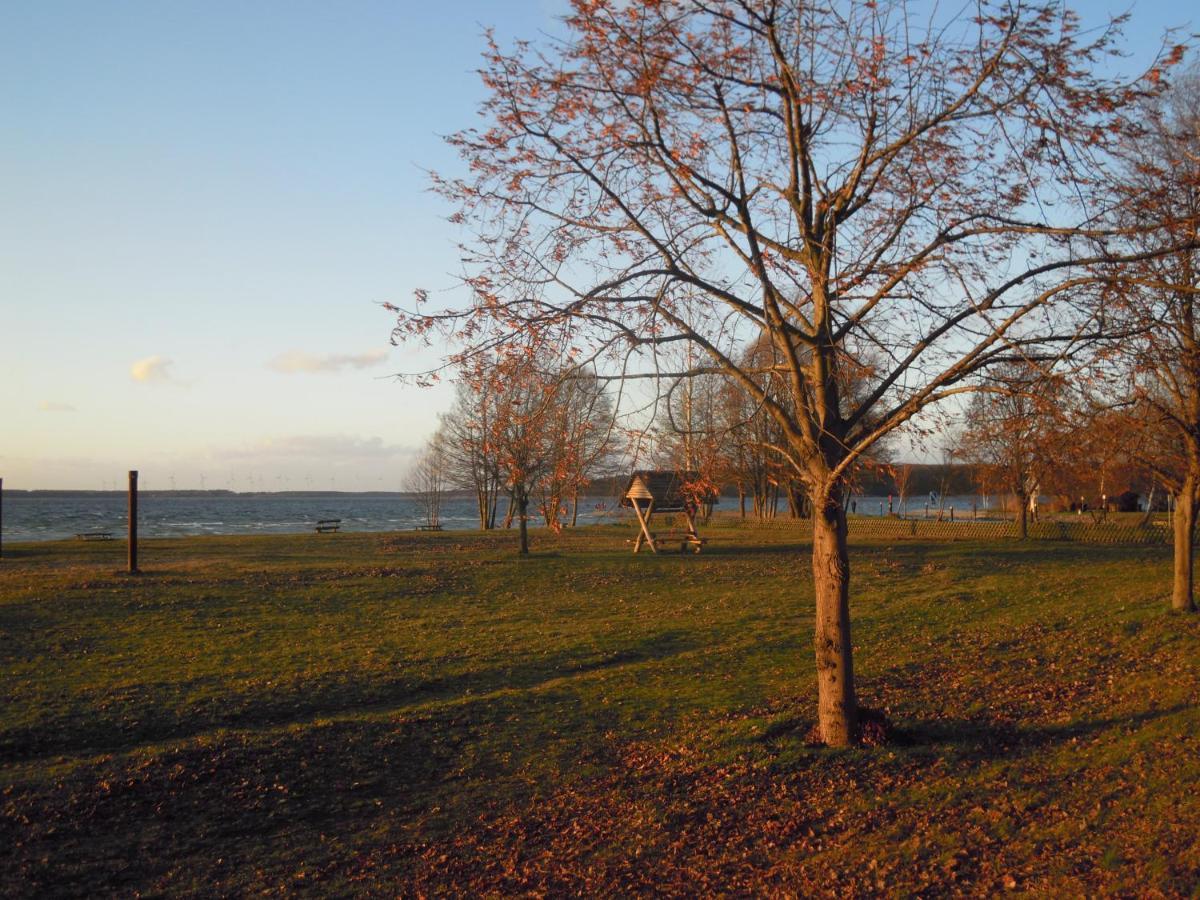 Lenzer Parkblick Am Plauer See Kültér fotó