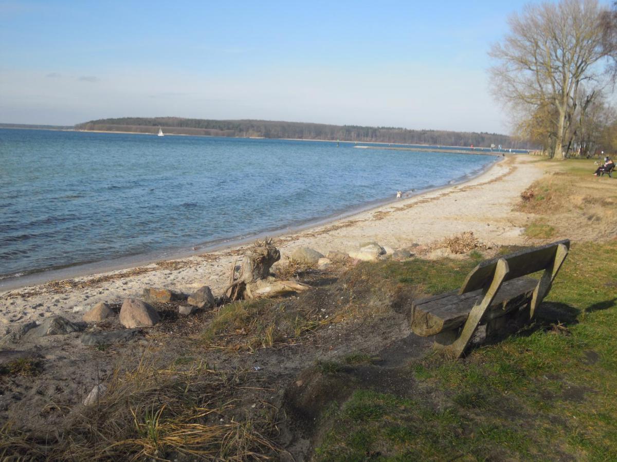Lenzer Parkblick Am Plauer See Kültér fotó