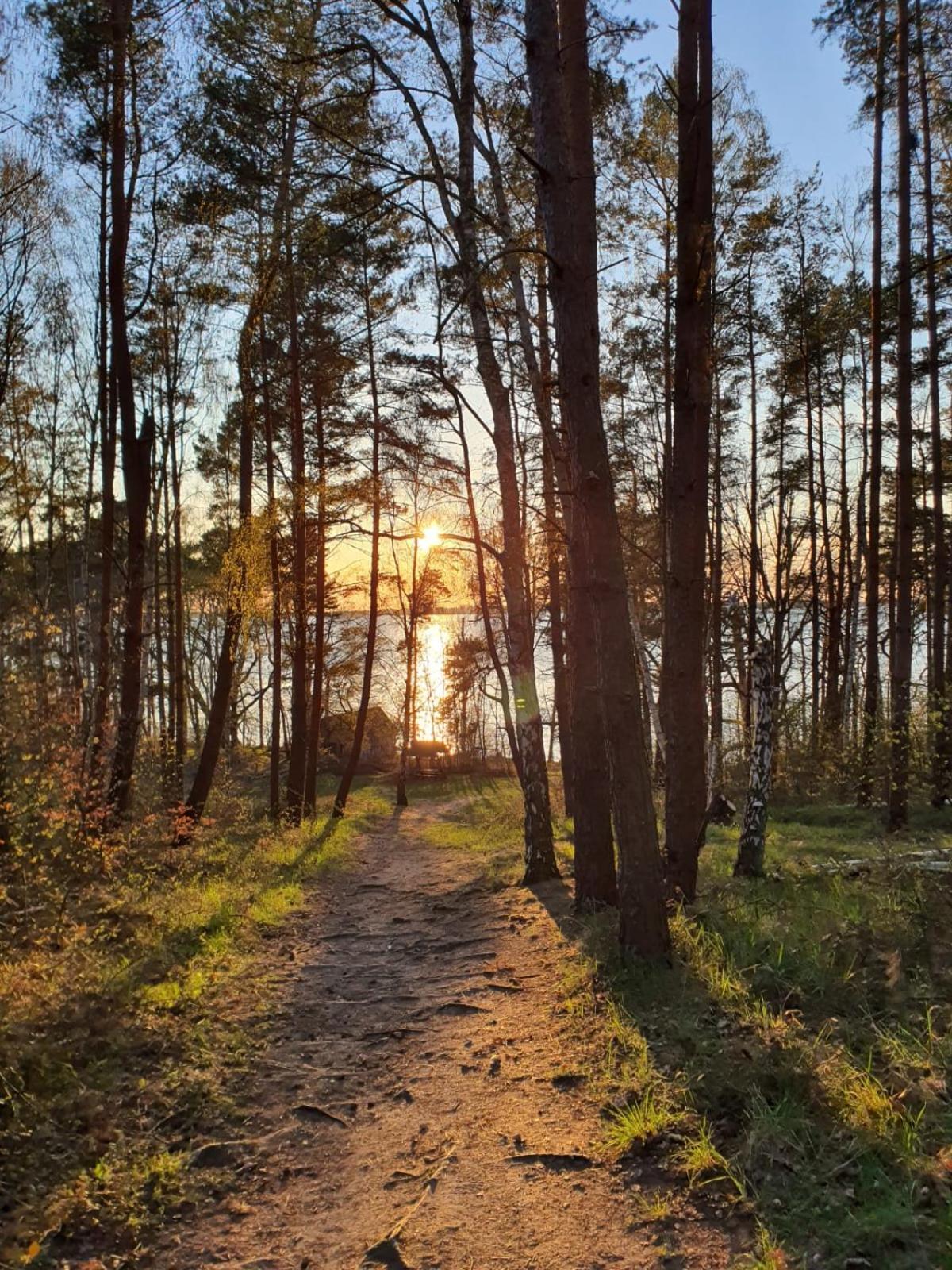 Lenzer Parkblick Am Plauer See Kültér fotó